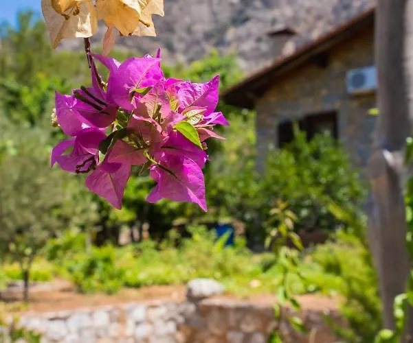 Willa Sakin Vadi Marmaris