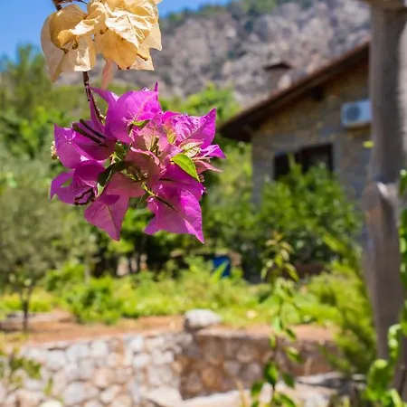 Villa Sakin Vadi Marmaris