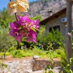 Villa Sakin Vadi Marmaris