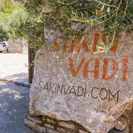 Sakin Vadi