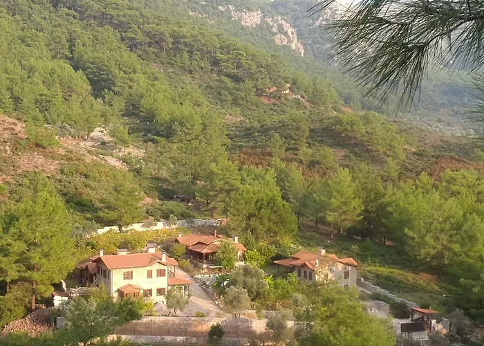 Sakin Vadi